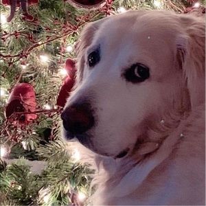 Meet your Posher, Carol